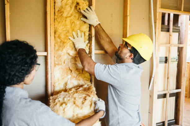 Best Home Insulation Services  in Pemberwick, CT